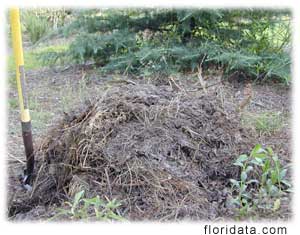 a pile of composting dog poop